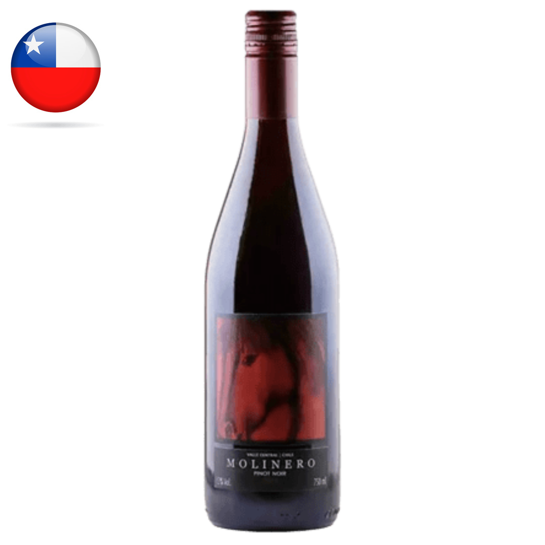 VI CHI MOLINERO PINOT NOIR 750
